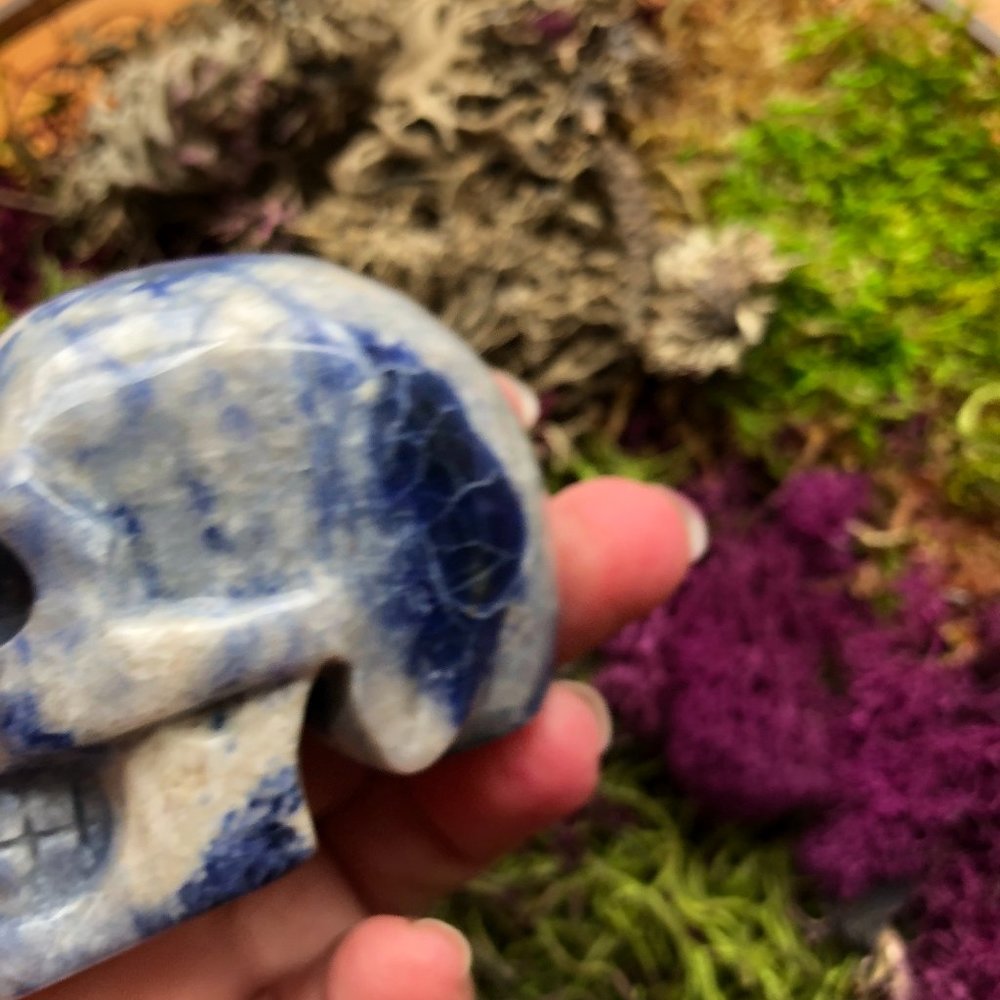 Sodalite Skull blue and white crystal skull - Picture 5 of 12